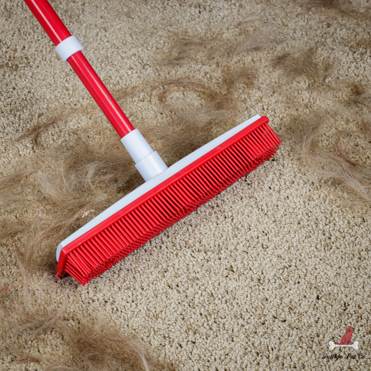 CaedreaPetco™ - Hair Removal Broom