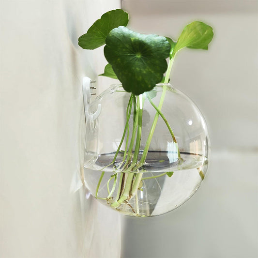 Verre™ - Showcase your plants on your walls, without drilling