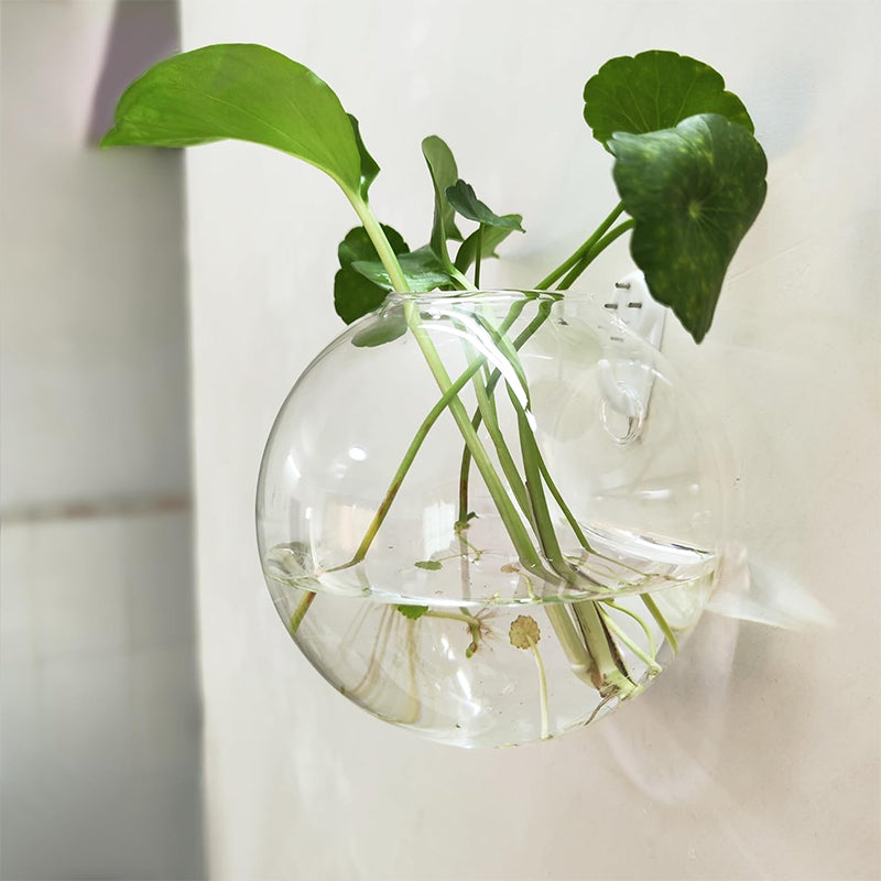 Verre™ - Showcase your plants on your walls, without drilling