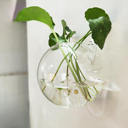 Verre™ - Showcase your plants on your walls, without drilling