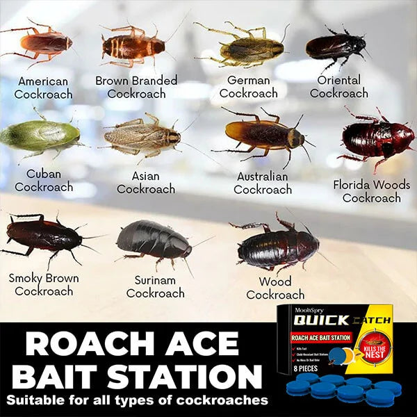 Raatch™ - Roach Ace Bait Station