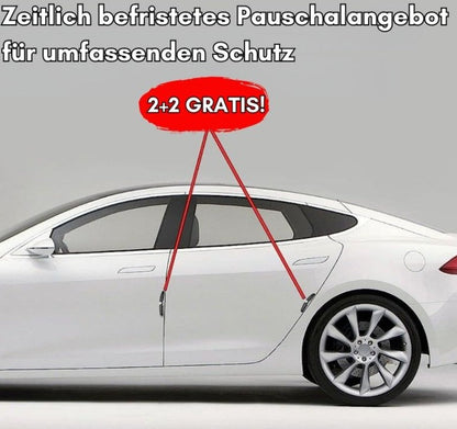 2+2 Free | Denty™ Protects From Scratches