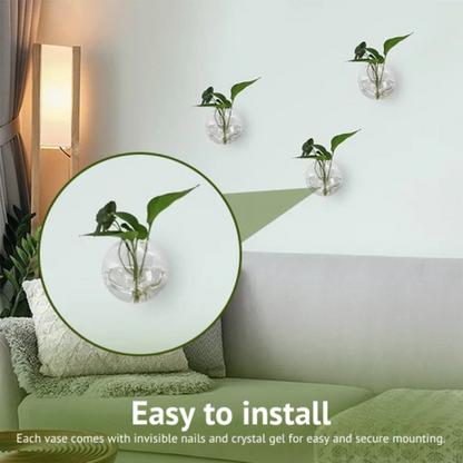 Verre™ - Showcase your plants on your walls, without drilling