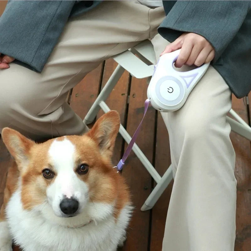 LuxPaw™ - Light Retractable Pet Leash