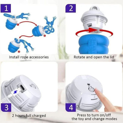 PawsPal™ - The pet's best playpal