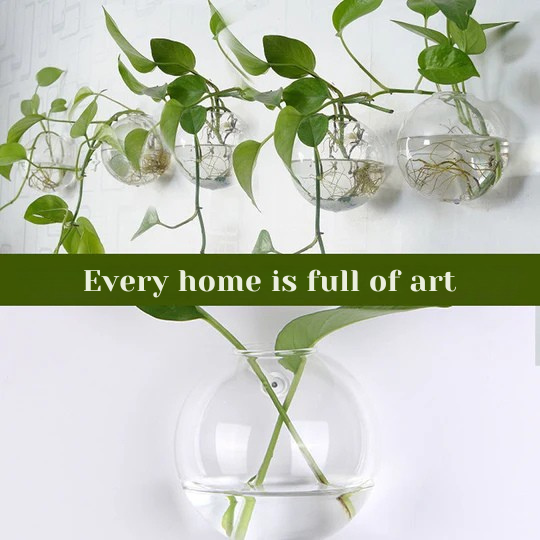 Verre™ - Showcase your plants on your walls, without drilling