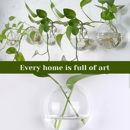 Verre™ - Showcase your plants on your walls, without drilling