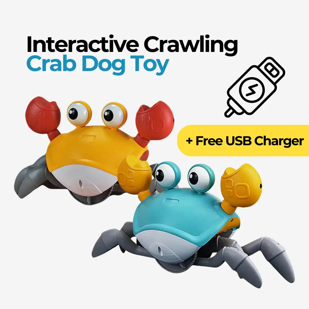 Crabzy™ - Crawling Crab Pet Toy