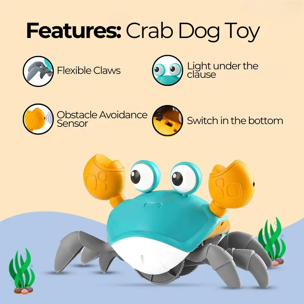 Crabzy™ - Crawling Crab Pet Toy