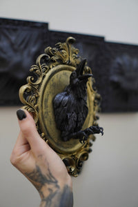 Raven