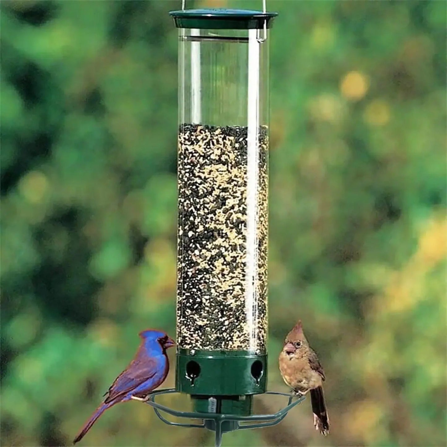 Chirpy™ - Squirrel-Proof Bird Feeder