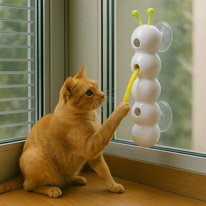Purrworm – Interactive Cat Toy with Worm Motion